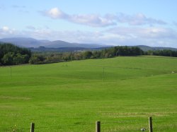 View across Cluny Crichton fields to Lochnagar