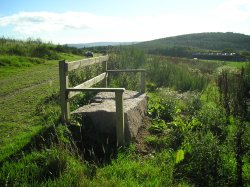 Take a rest at the rustic seat during the Cluny Crichton walk