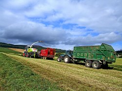Silage making at Cluny Crichton